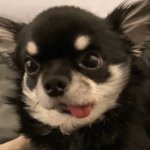 <b>줏대</b>있는 뽀유파였는데