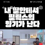 [스키즈] 내딸에게 필릭스향기가