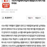 [댓글부탁해] <b>동물</b>학대 한아이 때린게 학대인가요?