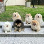 뭉쳐있으면 배로 귀여운거 <b>알지</b>?