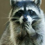 [댓글부탁해] 누가 더 사회적 <b>지위</b>높아?