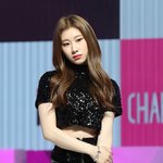 롱<b>노즈</b>상 아이돌들