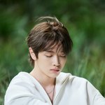 선녀와 <b>나무꾼</b>과 사슴을 동시에 보여주는 남돌