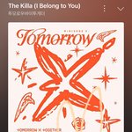 [<b>TXT</b>] 툽모닝