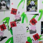 <b>푸바오</b> 강사육사님이 중국서 남긴 말이래ㅠㅠ