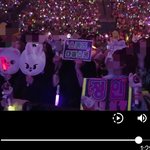 [스키즈] 진짜 스키주 <b>우치하</b>