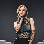 [모두드루와] 헉 케플러 휴닝바히에 개이쁨