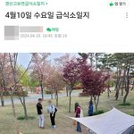 [어케생각해] <b>캣</b><b>맘</b>들은 공원이 자기집임?