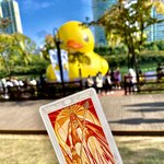 [댓글부탁해] 최근의 타로리딩