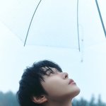 ‘반딧불’ 티저 이미지 ➫ 2024.04.22 6PM (<b>KST</b>)