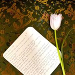 [드루와] 방금 올려준 뉴진스 다니엘 손편지