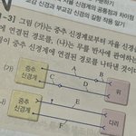 <b>생명</b>과학하는애들아
