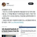 해리포터 작가 <b>JK</b> 롤링이 억만장자에서 백만장자로 내려간 이유