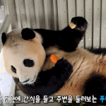 [19] 원빈정도면 얼굴로만 봤을때 <b>상위</b> 몇%냐