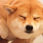 [드루와] 톰크루즈vs <b>lg</b>회장 누가 더 사회적지위 높음?