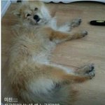 술취해서 블랙<b>아웃</b> 되지마세요
