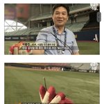 경기장 콘서트 대관 시 "<b>잔디</b>망가지는 것 외" 발생하는 다른...