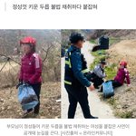 “무릎 꿇었지만 선처 없다”…양손 금반지 5개 낀 여성이 산에서...