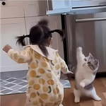 웃긴 고양이 <b>사진</b> <b>투척</b>