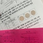 얘들아 나 자랑하나해도 됨?