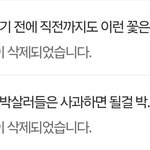 스프레이 꽃 사건 어떻게 됐는지 아시는 분들?