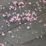조규성 실제로 보면 <b>무슨</b> <b>느낌</b>일까