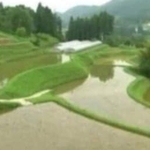 개그 욕심 때문에 전신 마비가 된 일본 아나운서