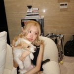 로제랑 <b>행크</b>