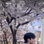 [드루와] 이거 <b>셔츠</b> 정보 아는 사람