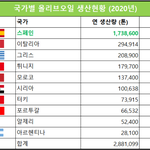 전세계 올리브오일 생산_압도적1위 국가는?
