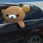 [댓글부탁해] 내 <b>룸</b>메 ㅈㄴ 귀여움