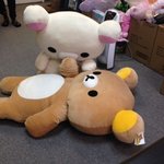 [댓글부탁해] <b>렌즈</b> 직경 14.3이면 눈 큰거임?