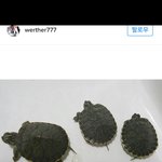 [드루와] <b>엄기준</b> 인스타ㅋㅋㅋㅋ