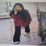 대학교 <b>인근</b> 10대 여학생 실종 정보 공개