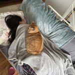 <b>집사</b>야 얼른 일어나라옹.jpg