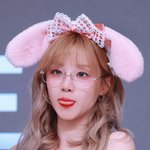 역대급 복슬강아지들 <b>집합</b>!