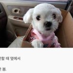 아무 이유없이 항상 나를 좋아해주는 <b>유일</b>한 생명체