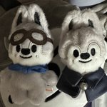 [스키즈] 콩키주 <b>파일럿</b> 때랑 좀 다르네