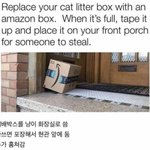 미국의 고양이 똥 <b>처리</b> 방법