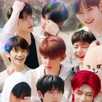 와 제베원 1주년 컨텐츠 보<b>플로</b> 회귀ㅋㅋㅋㅋ