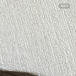 퍼스널<b>컬러</b> 잘알들아 ㅠㅠ