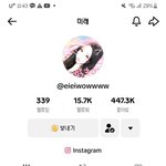 틱톡 <b>미래</b>님 트위터아는사람..