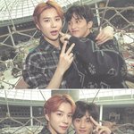 라이즈보니까 엑소 엔시티가 예능잘하는거였구나
