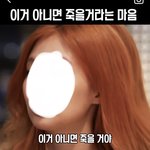 제니랑 사쿠라 마인드 차이