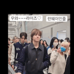 라이즈 <b>실물</b>