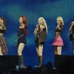 "대중이 바보인가" 르세라핌, 2주차 '코첼라 무대도 실력 논란...