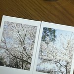 <b>폴라로이드</b>삿당