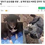 안락사 없는 <b>동물</b>보호소를 도와주세요