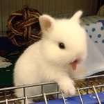 나 ㅈ같은 습관? <b>버릇</b> 있음