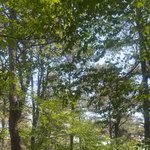 시험 말아먹고 <b>산</b> 다녀왔는데 힐링함
